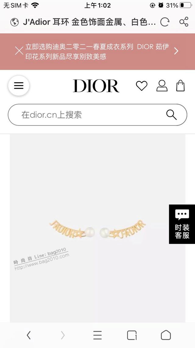 Dior飾品 2021新款DIOR迪奧字母耳釘耳環  zgd1397